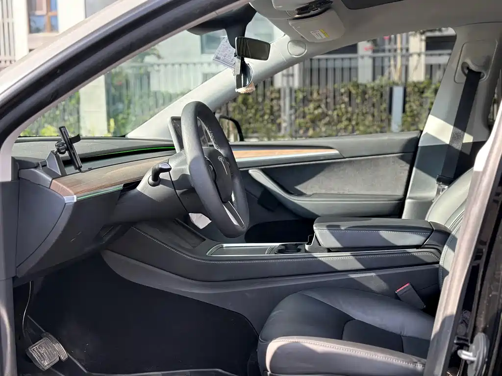 Tesla Model Y — миниатюра 8