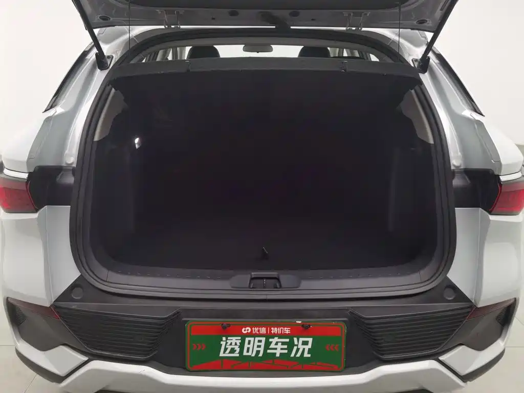 BYD Yuan Plus — миниатюра 16