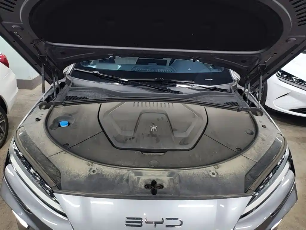 BYD PLUS New Energy — миниатюра 20
