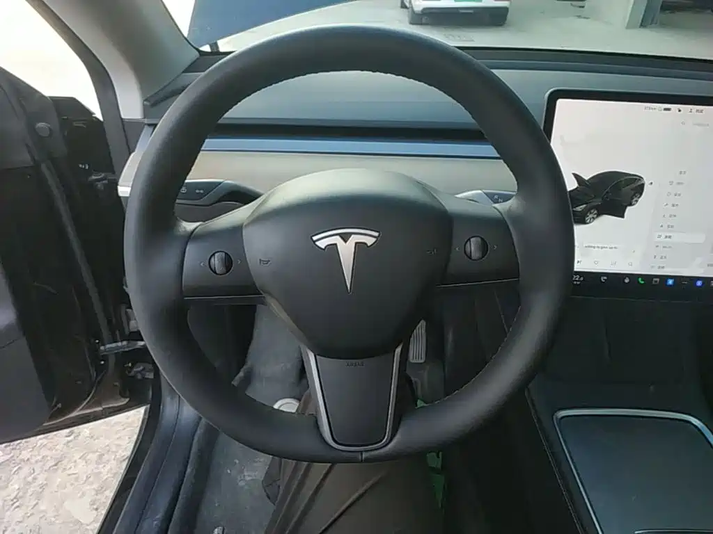 Tesla Model Y — миниатюра 11