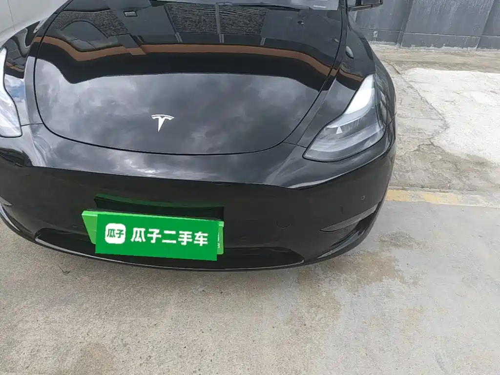 Tesla Model Y — миниатюра 24