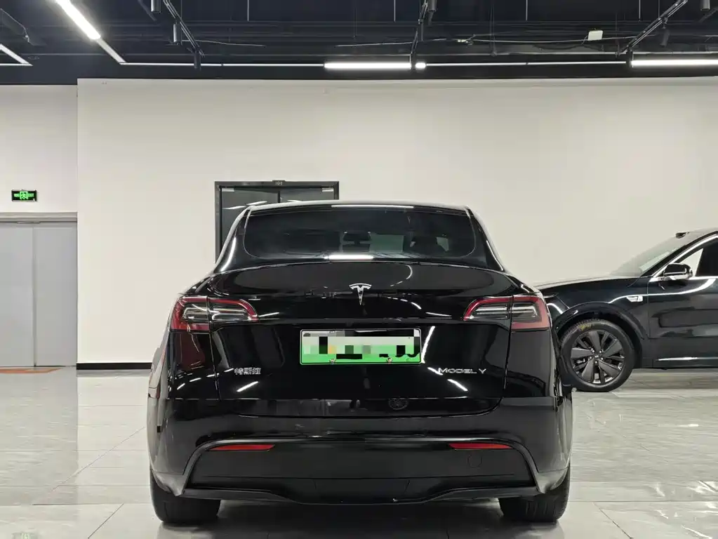 Tesla Model Y — миниатюра 8