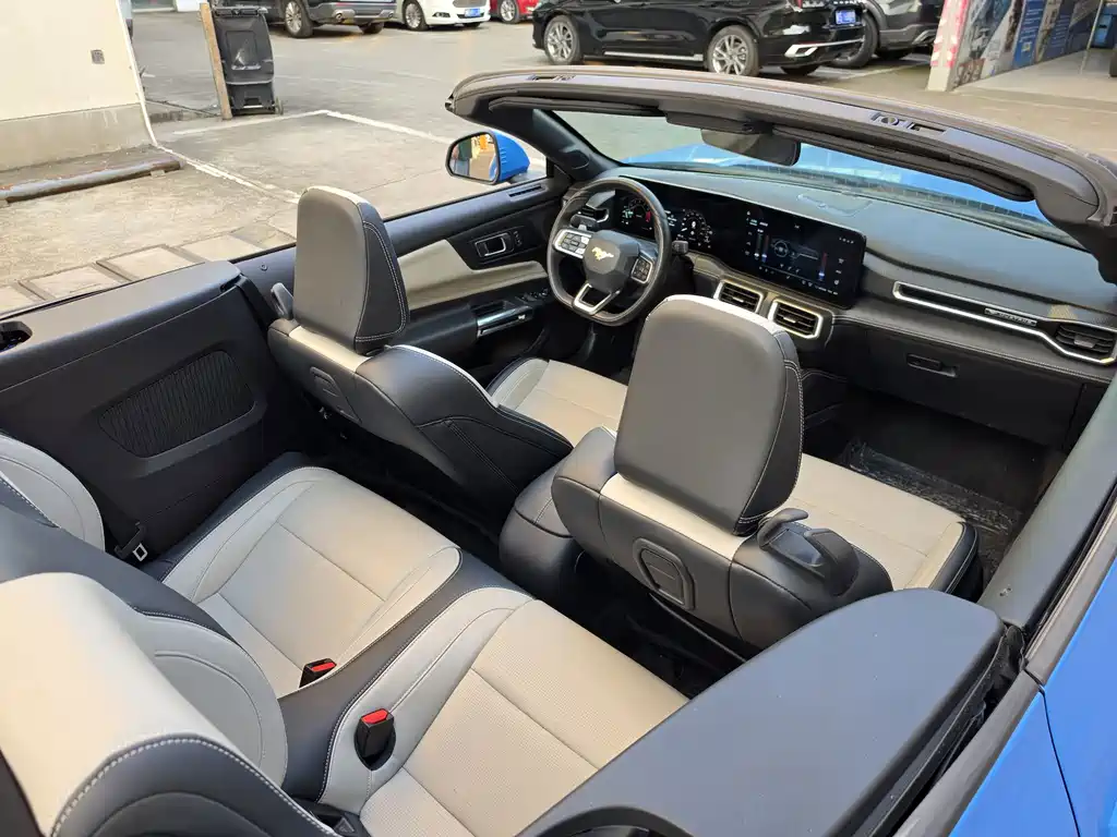 Ford Mustang — миниатюра 14