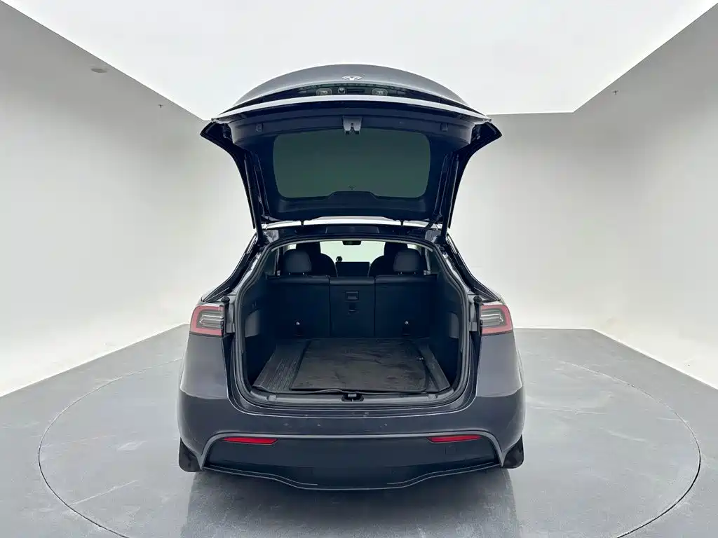 Tesla Model Y — миниатюра 18
