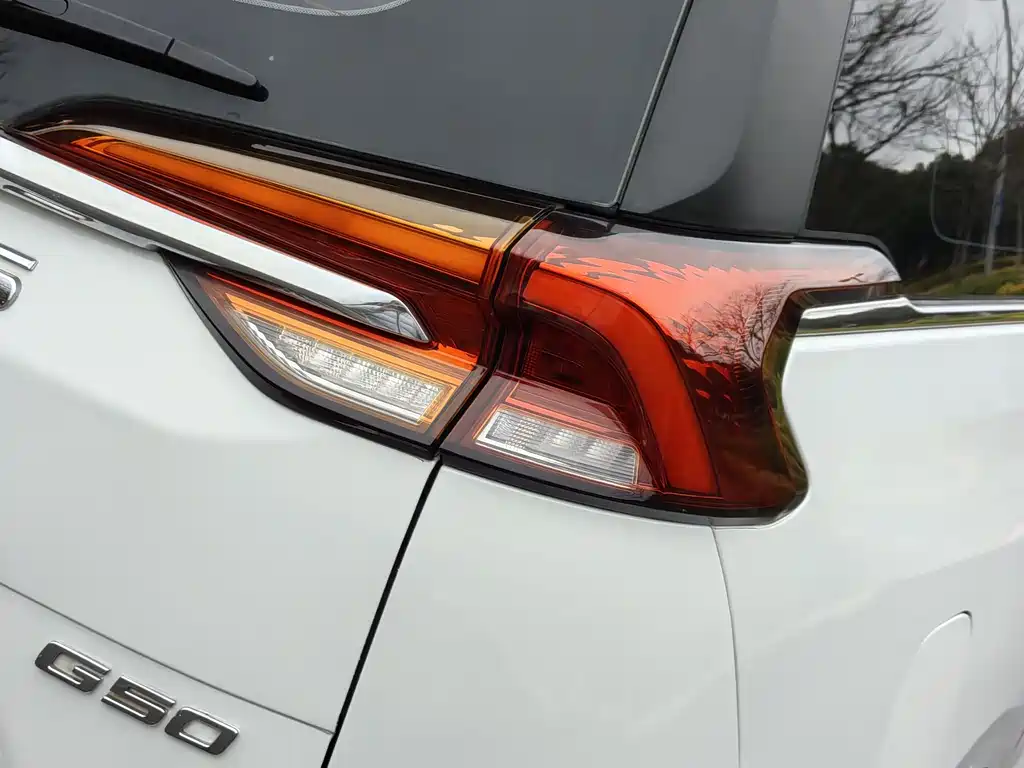 SAIC MAXUS CHASE G50