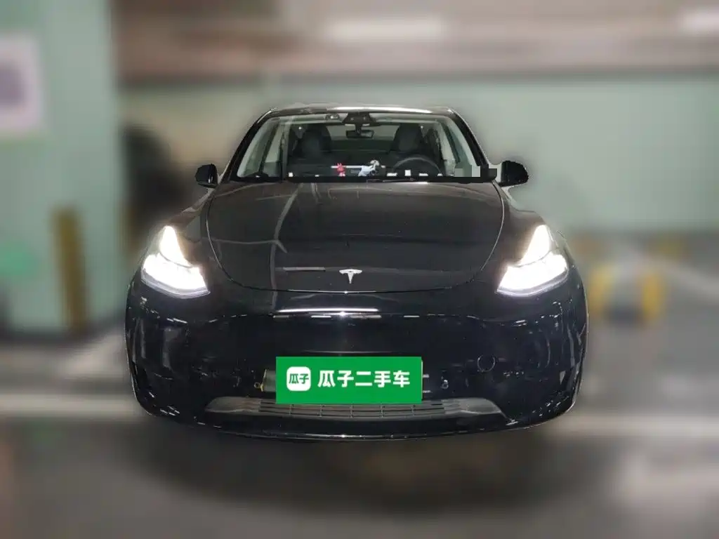 Tesla Model Y — миниатюра 2