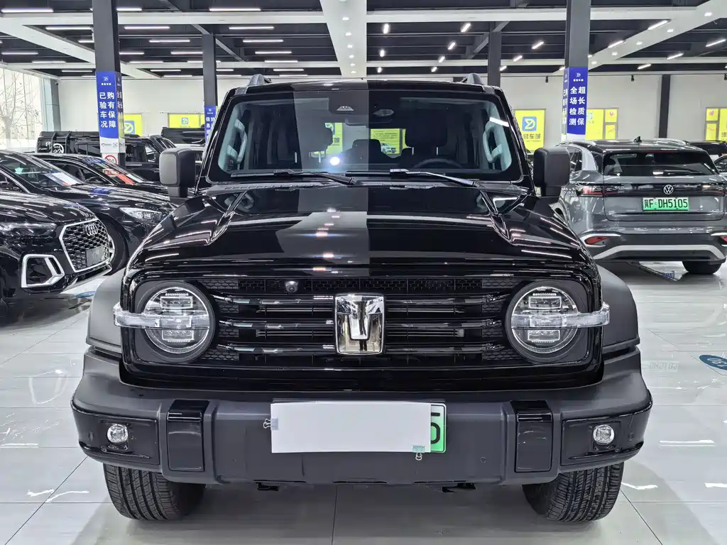 TANK TANK 300 NEW ENERGY