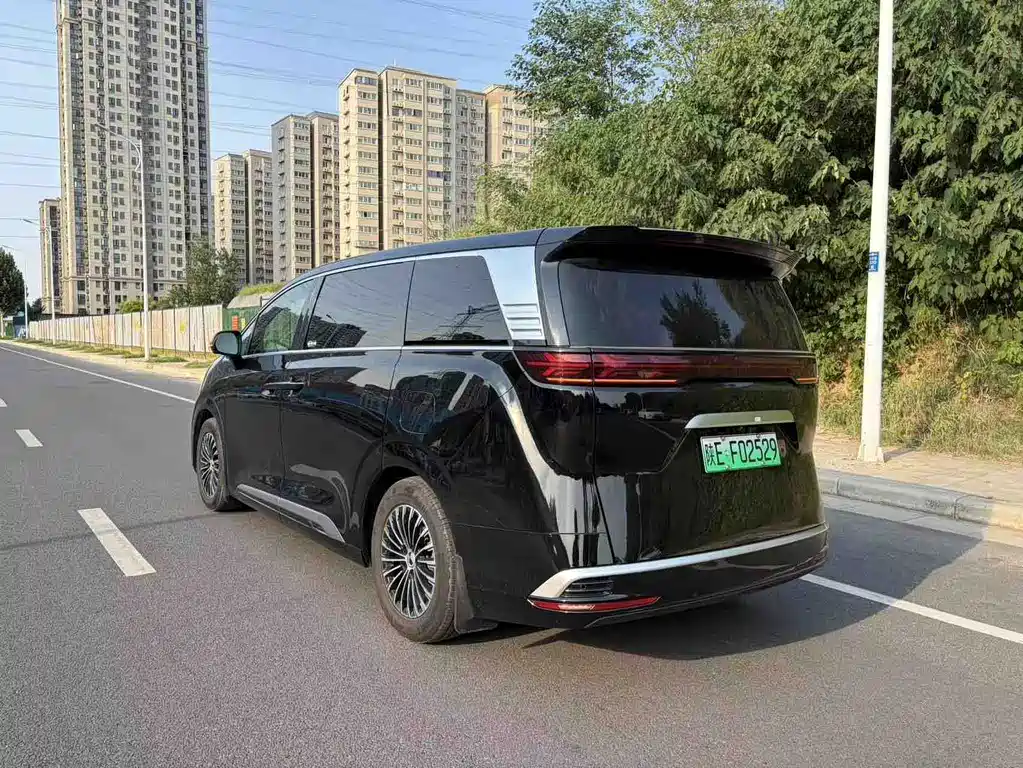 Denza Denza D9 — миниатюра 8