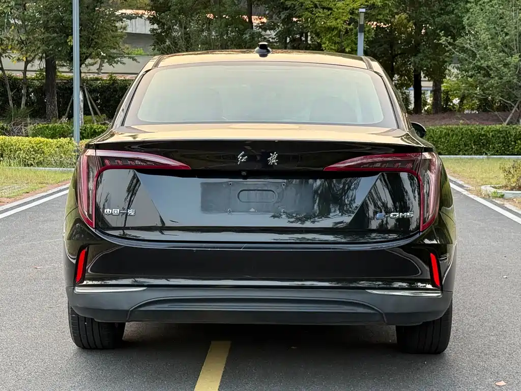 Hongqi Hongqi E-QM5 — миниатюра 5