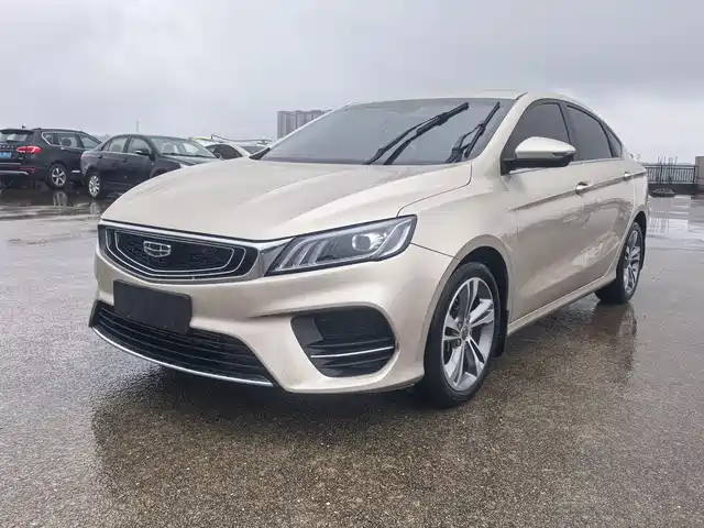 2019 Geely Binrui