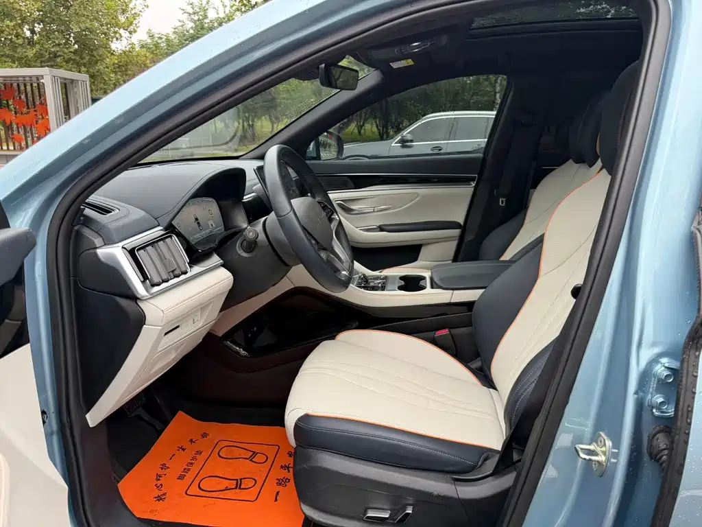 BYD PLUS New Energy — миниатюра 6