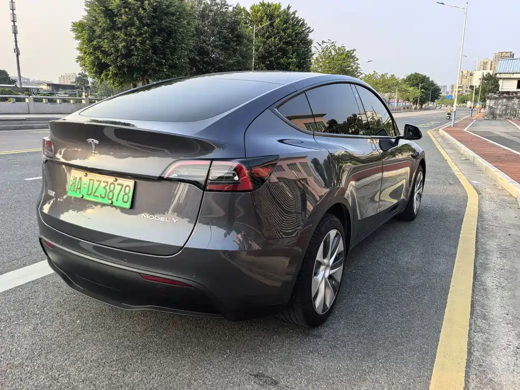 Tesla Model Y — миниатюра 5