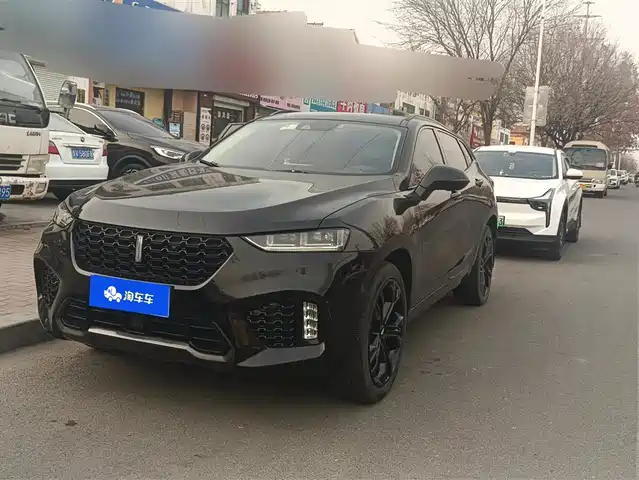 wei-pai wei-brand-vv7