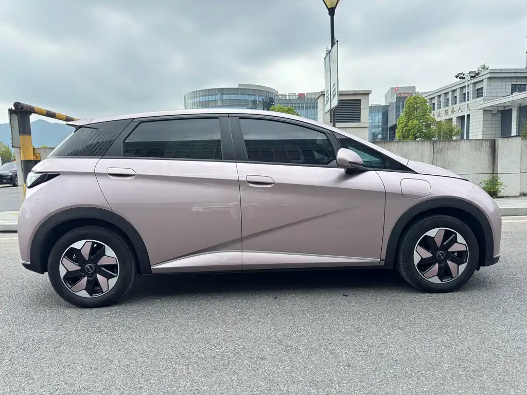 BYD Dolphin — миниатюра 17