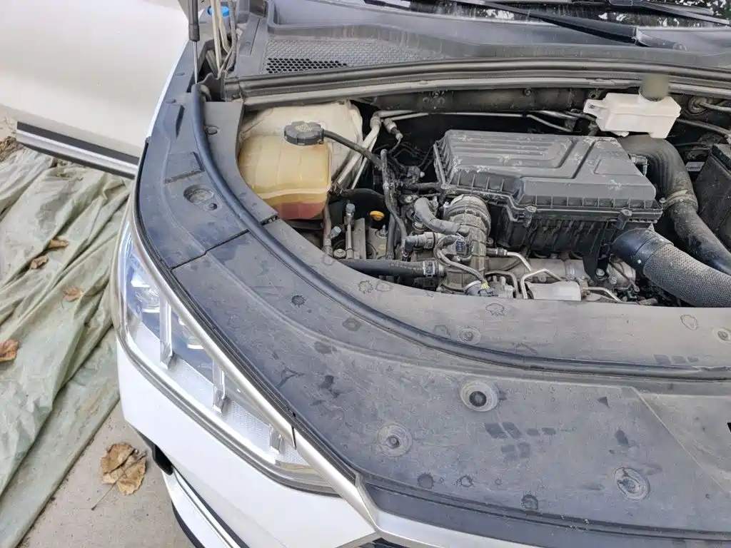 BYD PLUS — миниатюра 18