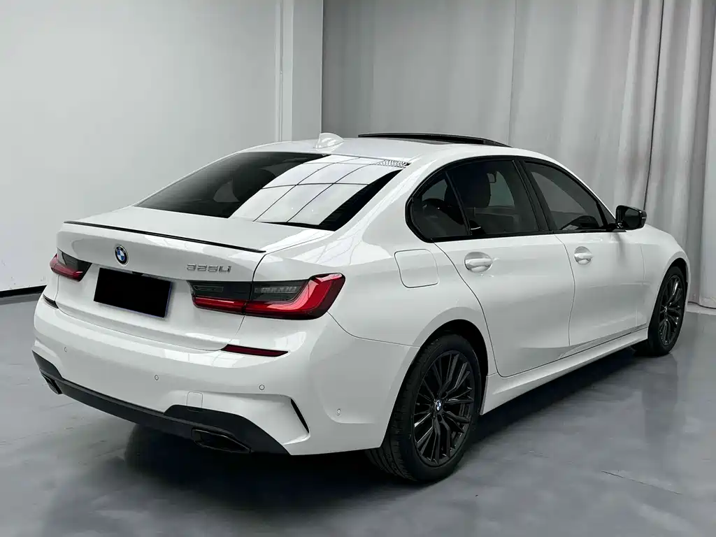 BMW 3 Series 3 2020 325Li