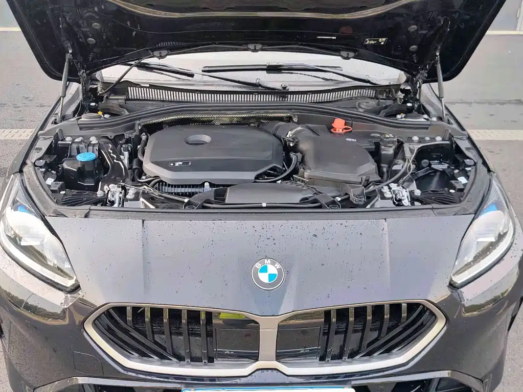 BMW 2 Series — миниатюра 7
