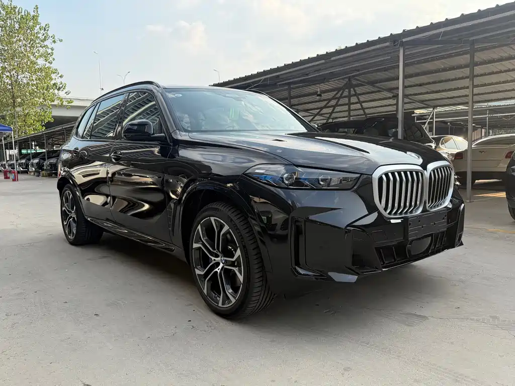 BMW X5 — миниатюра 3