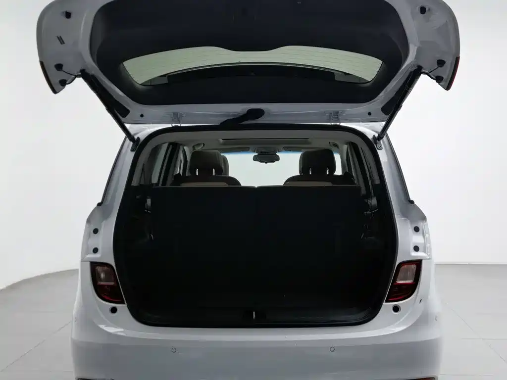Buick GL6 — миниатюра 16