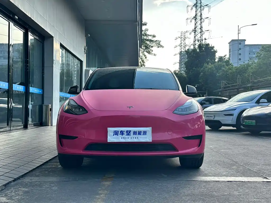 Tesla Model Y — миниатюра 4