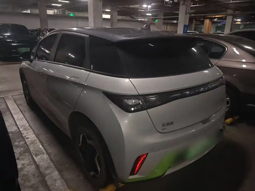 BYD Dolphin 2021 405km Fashion