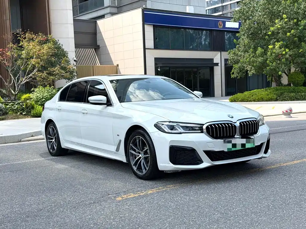 BMW 5 Series New Energy — миниатюра 3