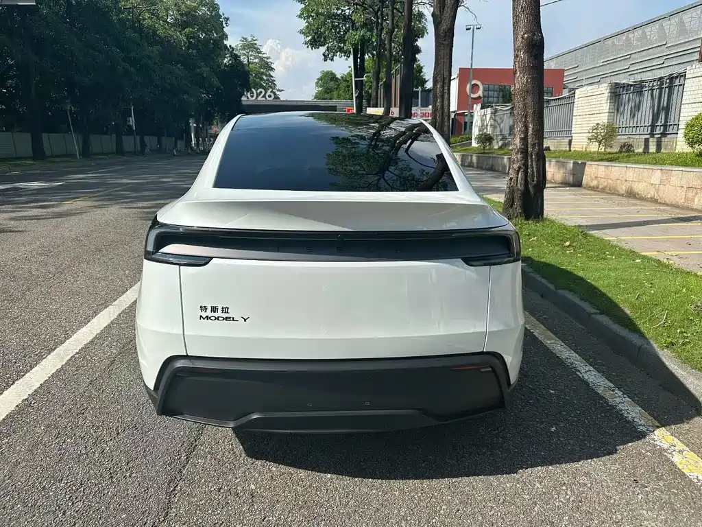 Tesla Model Y — миниатюра 8