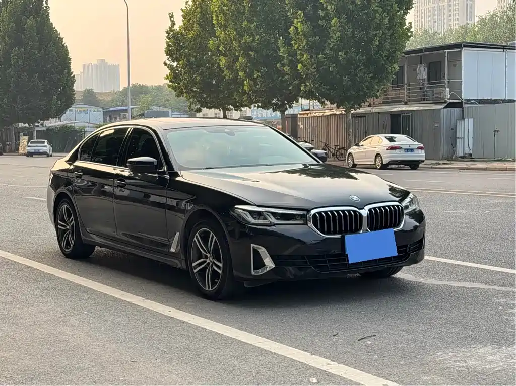 BMW 5 Series — миниатюра 3