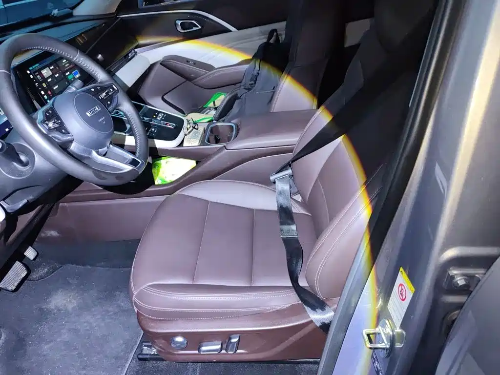 Haval Xiaolong MAX — миниатюра 16