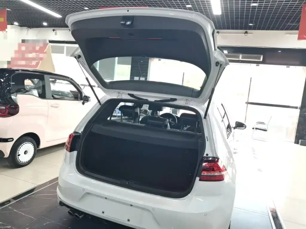 Volkswagen Golf — миниатюра 19