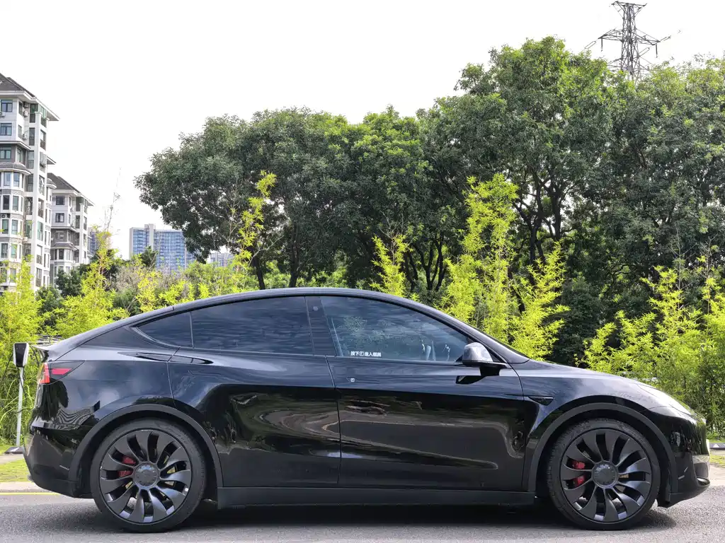 Tesla Model Y 2022 Performance