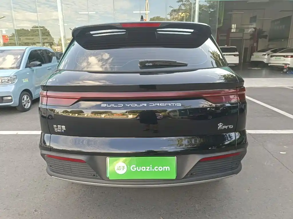 BYD Pro New Energy — миниатюра 6