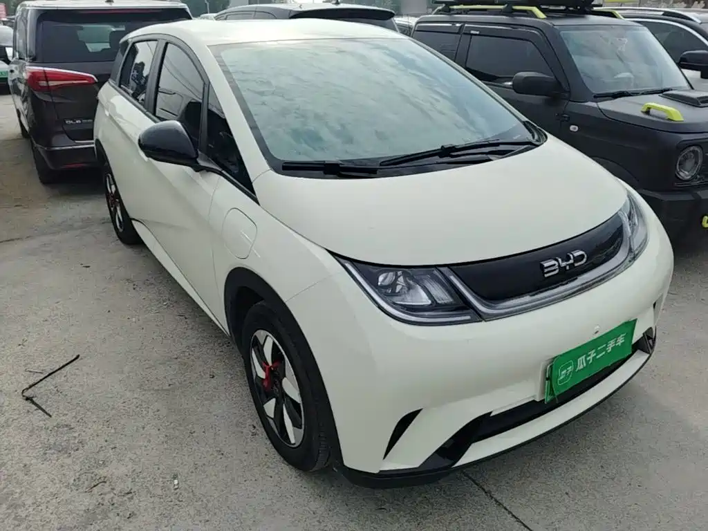 BYD Dolphin — миниатюра 4