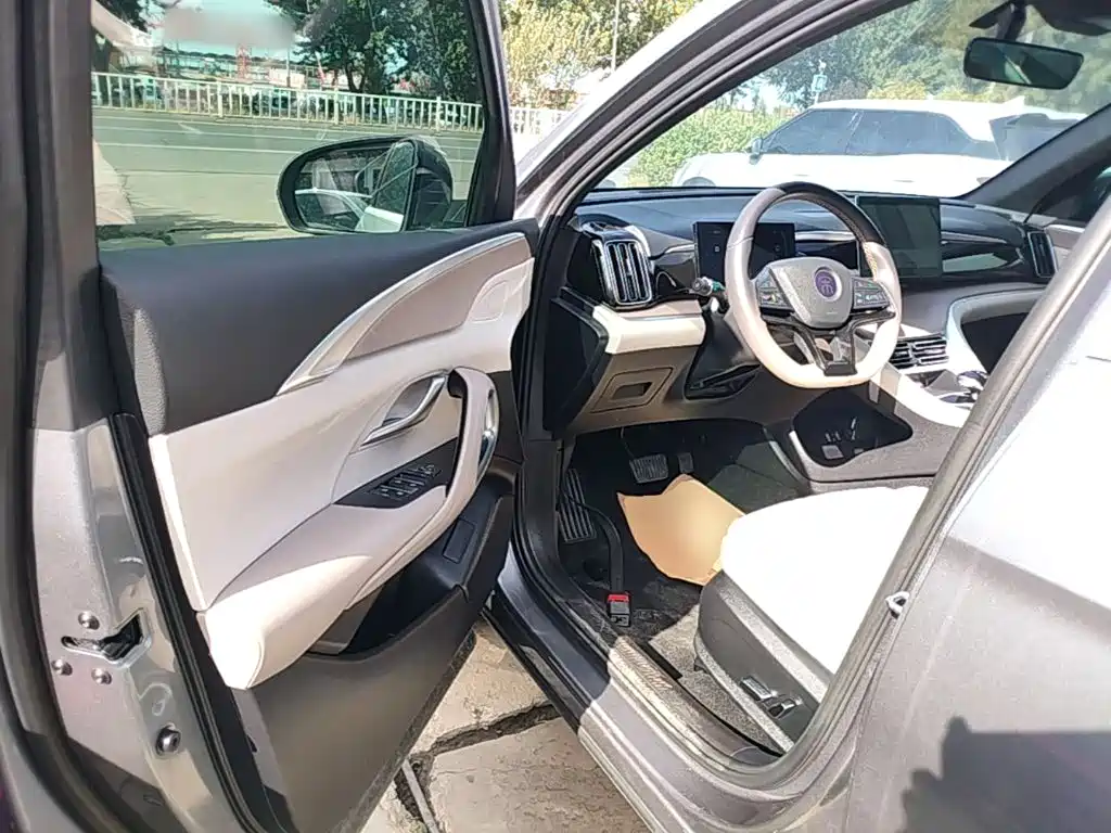 BYD Pro New Energy — миниатюра 16