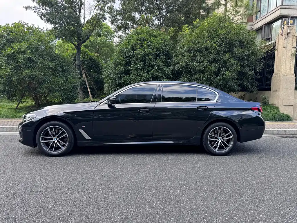 BMW 5 Series — миниатюра 3