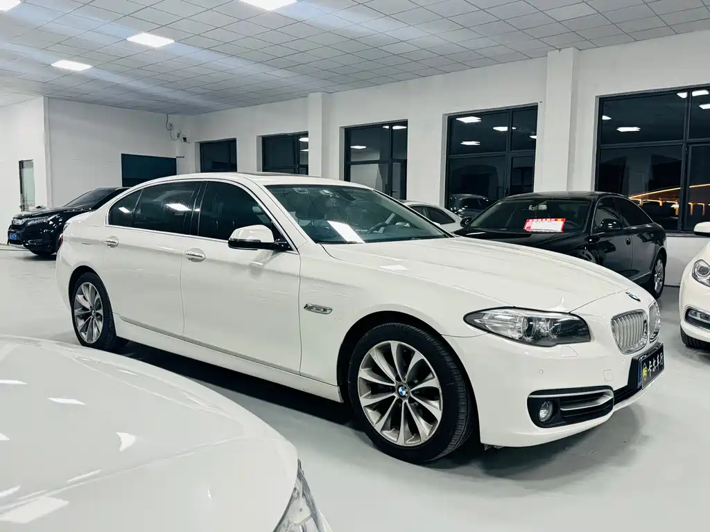 BMW 5 Series 5 2013 525Li