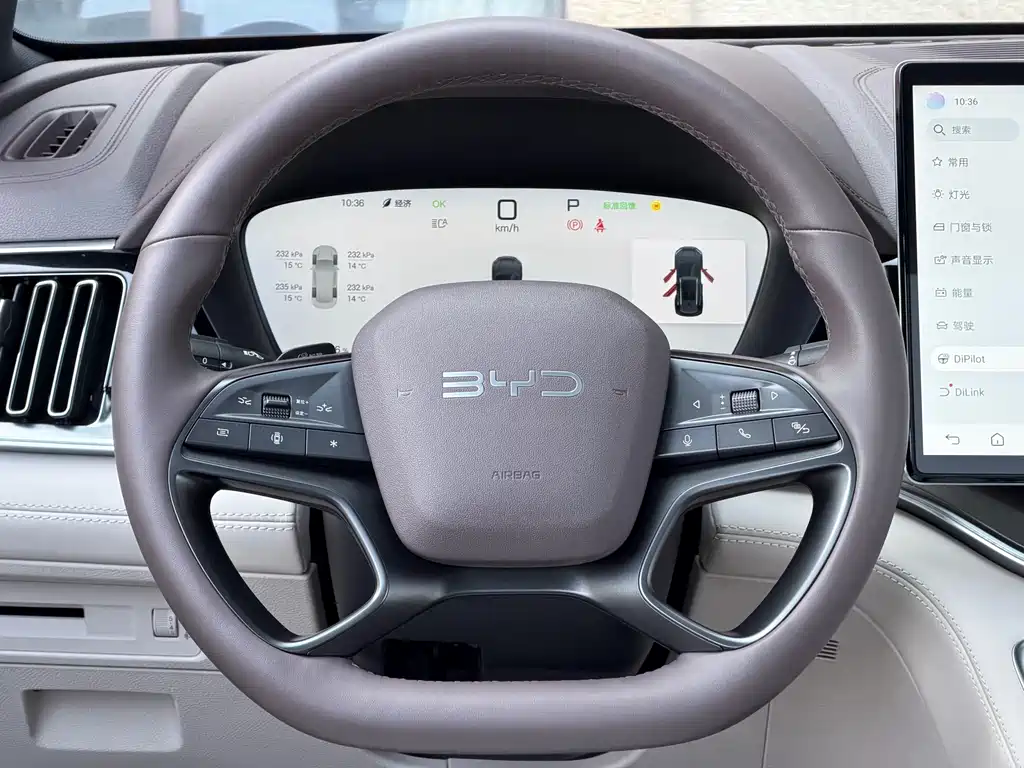 BYD SONGJIANG NEW ENERGY