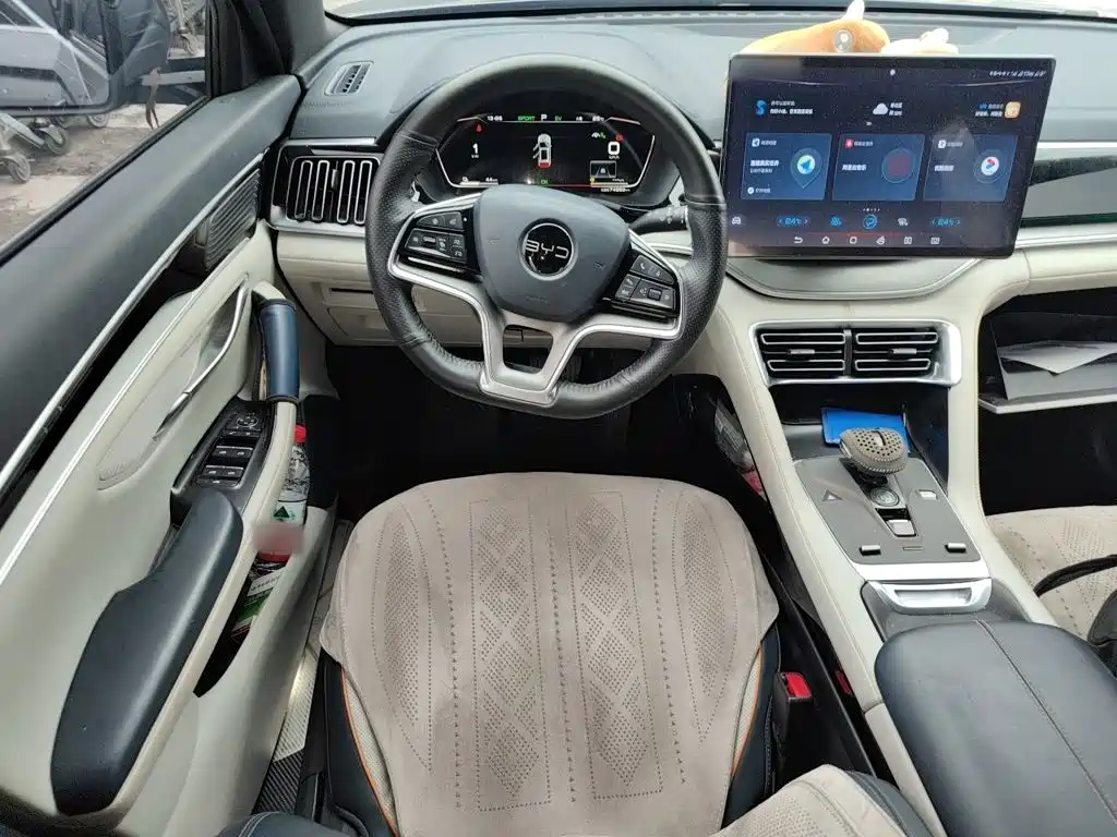 BYD PLUS New Energy — миниатюра 3