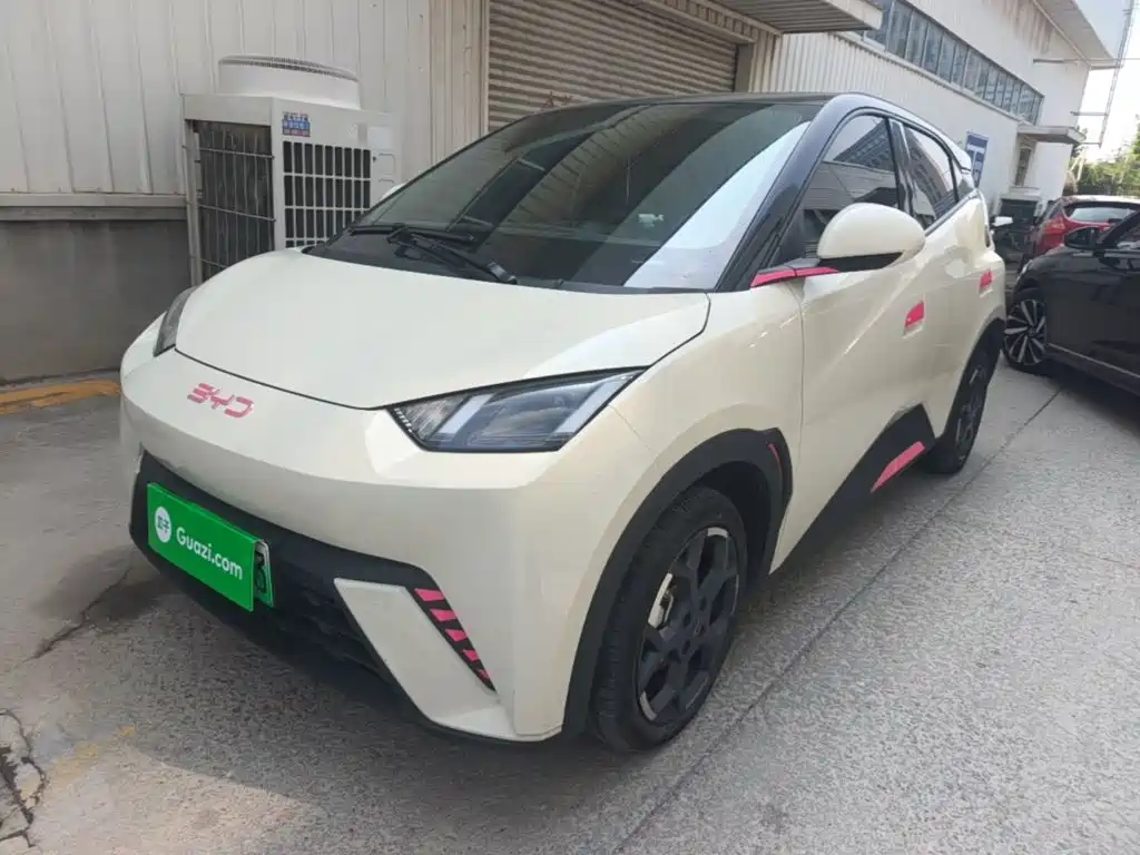 BYD Seagull 2025 305km Freedom