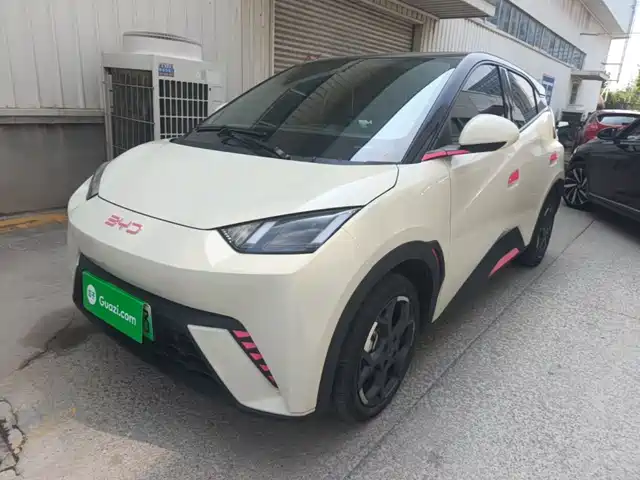 2024 BYD Seagull