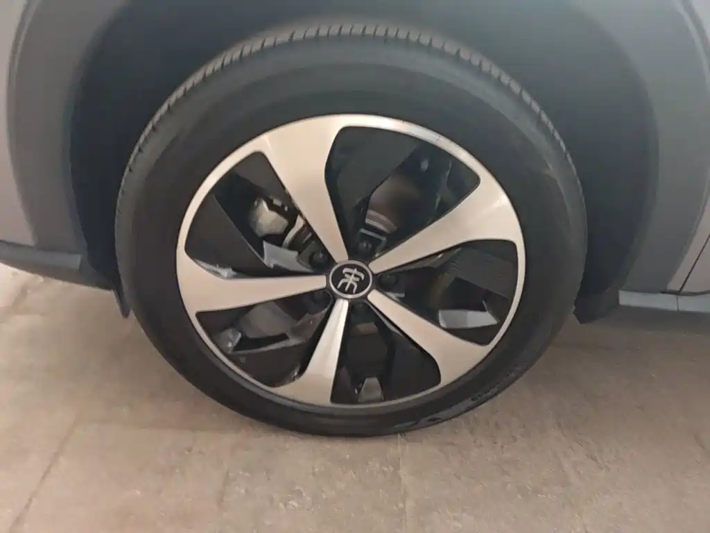 BYD PLUS New Energy — миниатюра 23