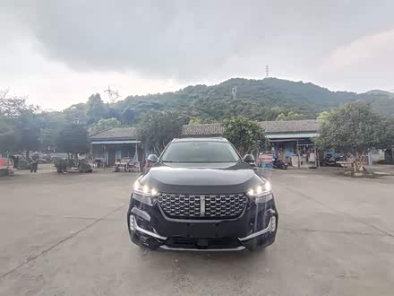 魏牌 VV6 2020款 2.0T 两驱智护+