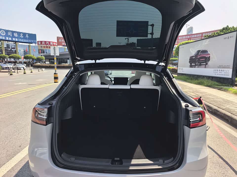 Tesla Model Y Tesla Model Y