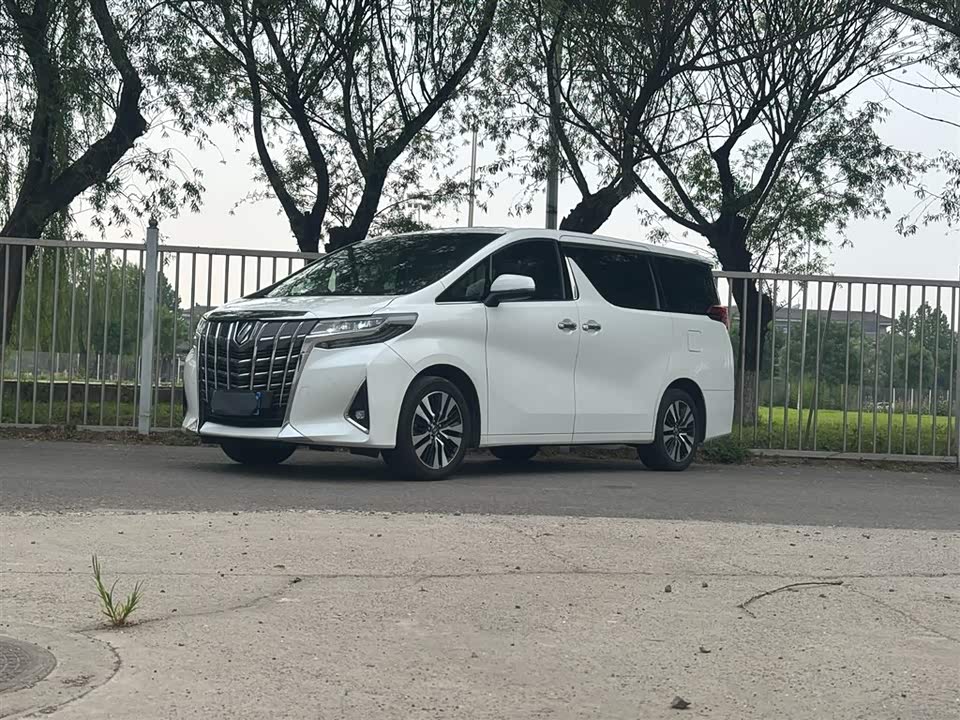 Toyota Elfa