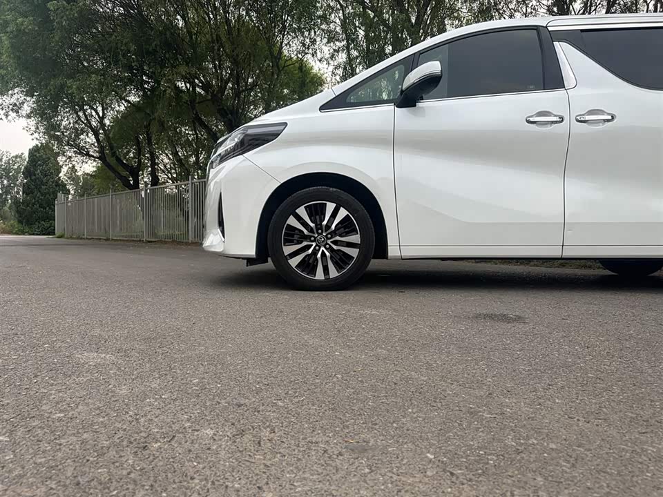 Toyota Elfa