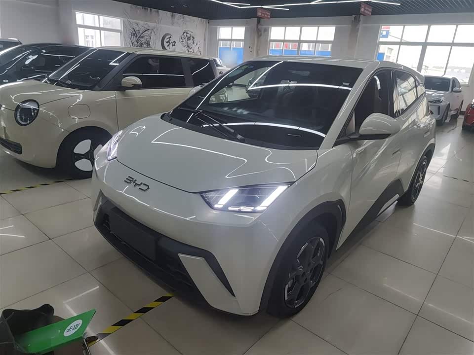 BYD Seagull BYD Seagull