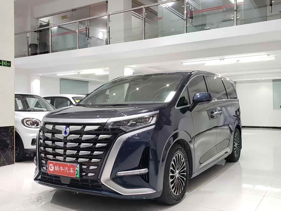 Denza D9 Denza D9