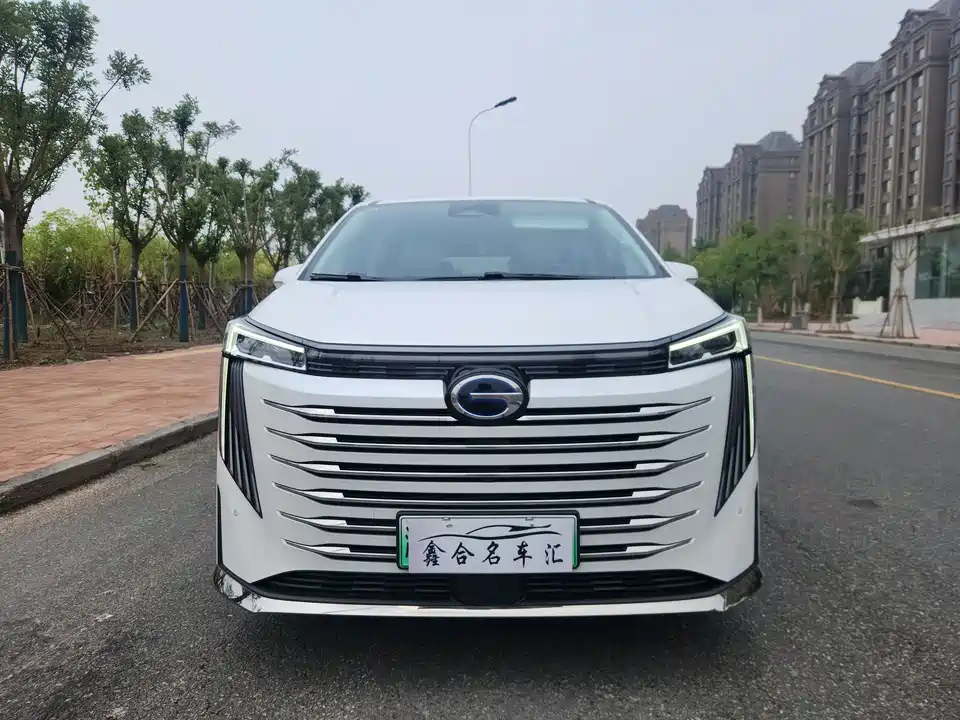 Trumpchi Trumpchi E9