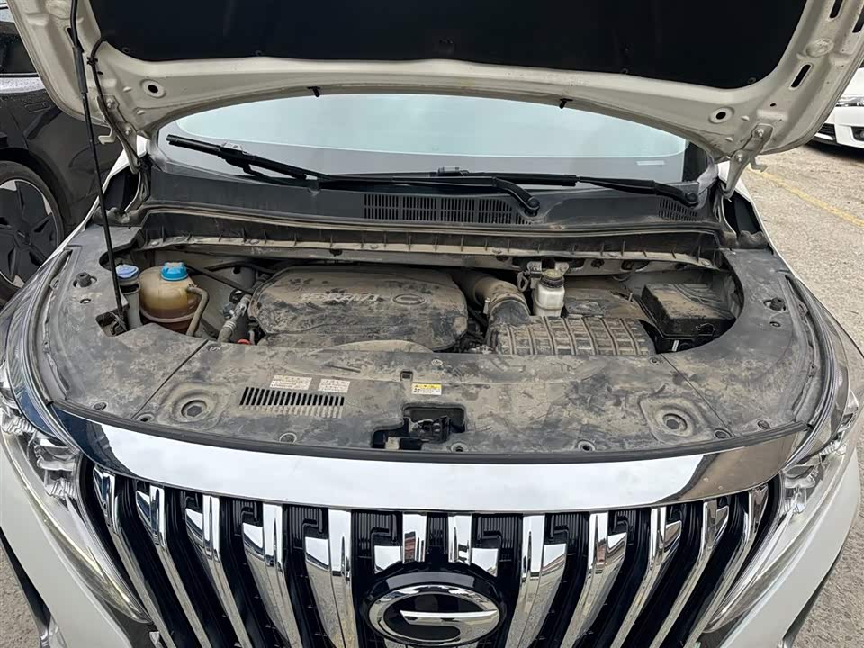 Trumpchi Trumpchi M8