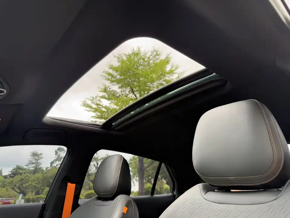 Trumpchi Shadow Leopard